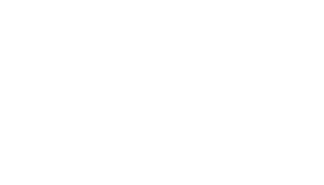 Logo ANDES